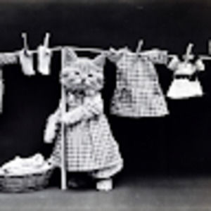 Kitsch Kitten's Closet FYI